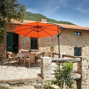 Ferienhaus Casa Berti - Urlaub Im Olivenhain, Camaiore